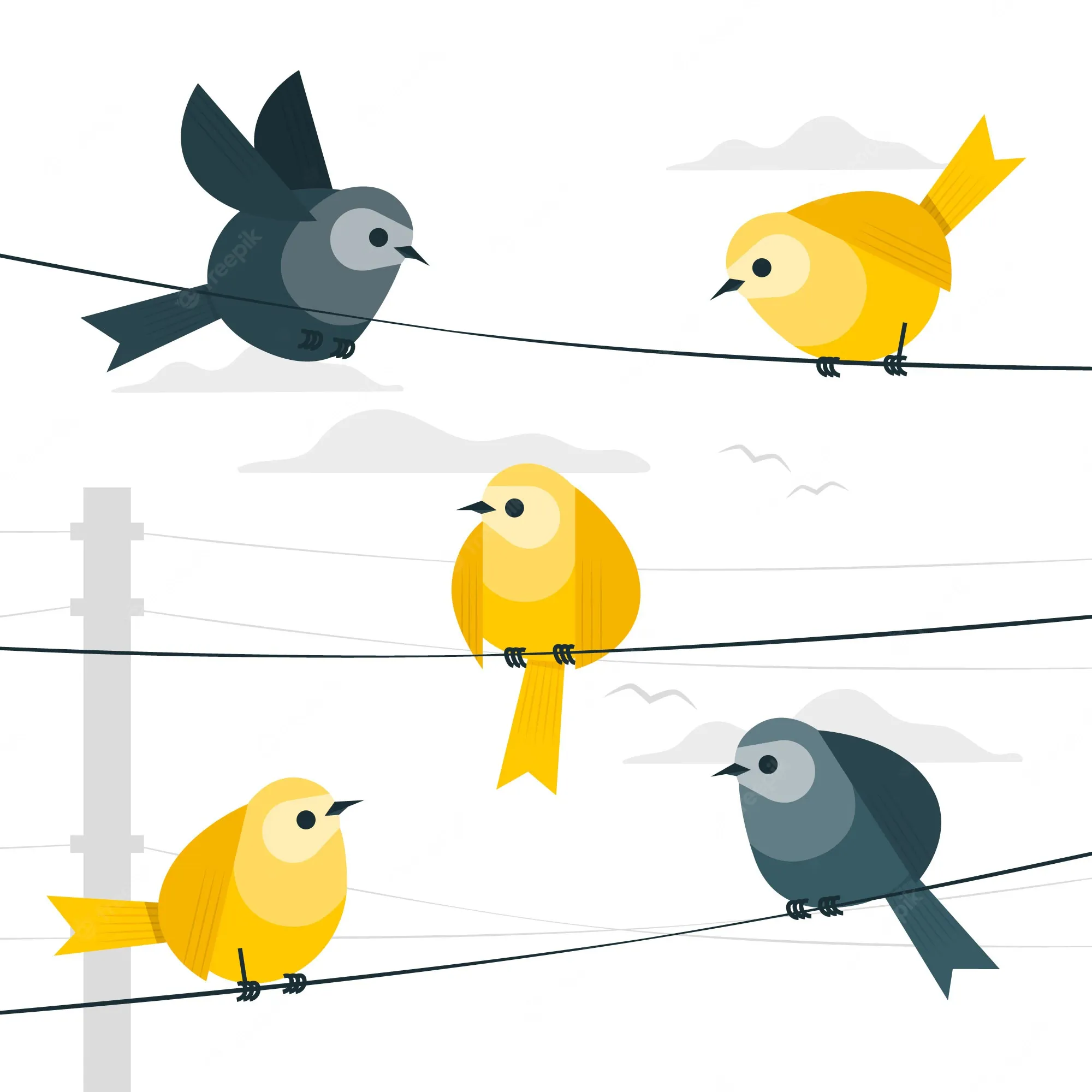 Why birds sitting on electric wires don't get electrocuted shocked