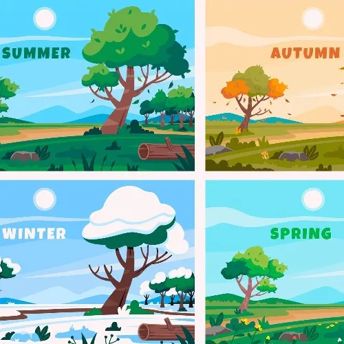 Why do we have different seasons?